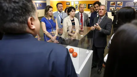 Brasil tem disputa separada por 2.646.557 votos