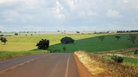 El Niño leva Goiás à seca mais crítica entre novembro e janeiro